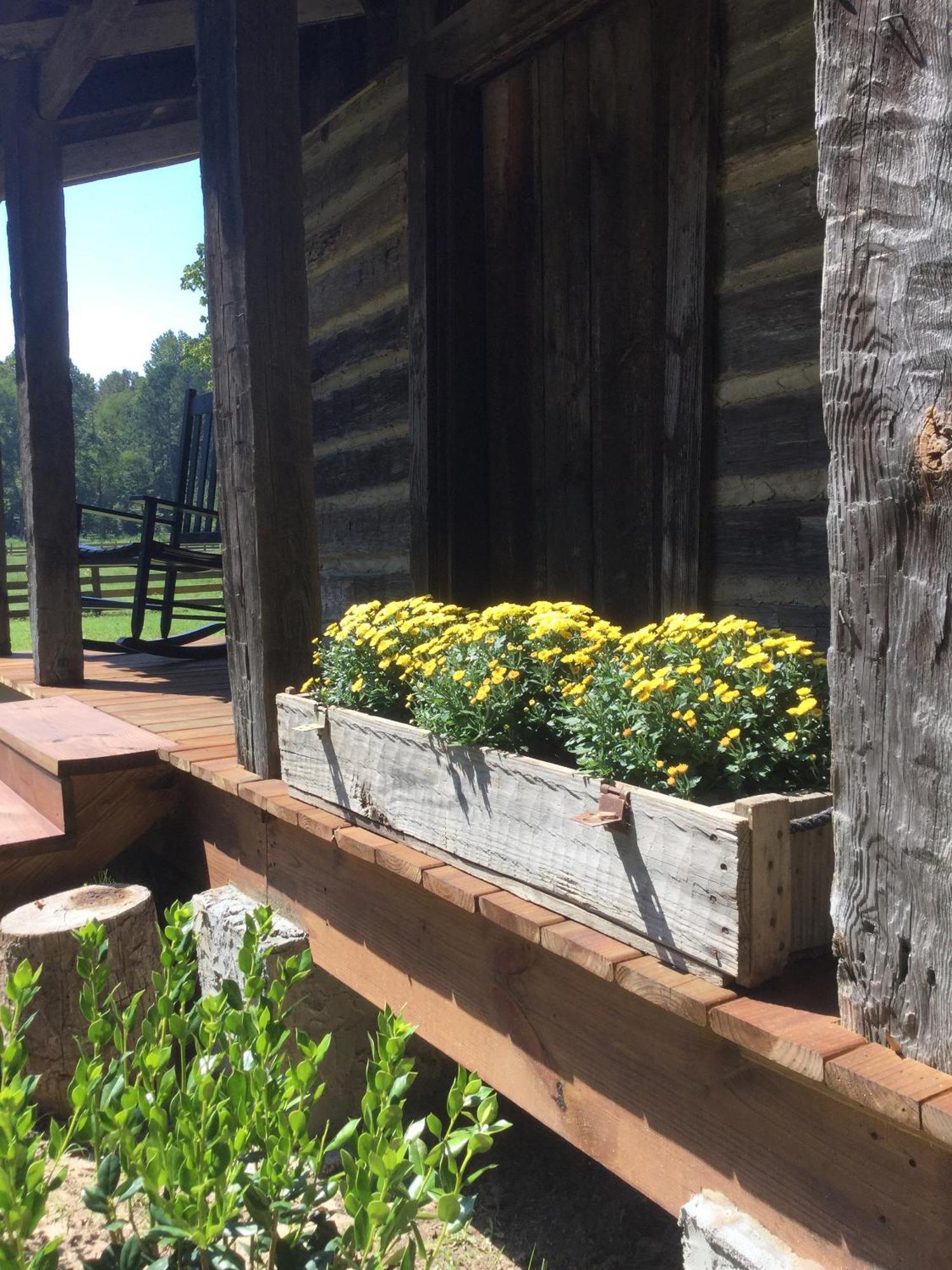 Coulter Farmstead Bed & Breakfast Washington Phòng bức ảnh