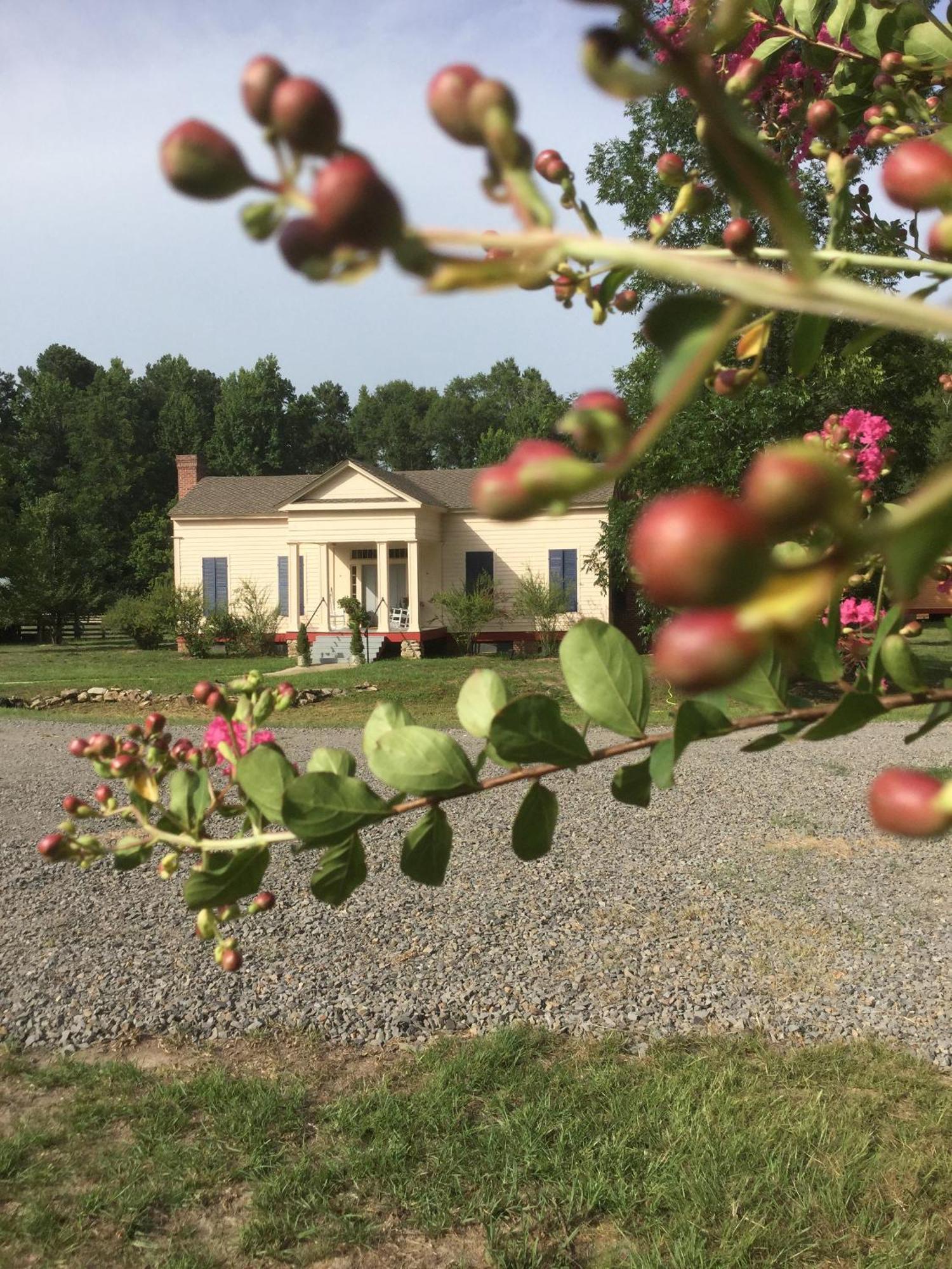 Coulter Farmstead Bed & Breakfast Washington Ngoại thất bức ảnh